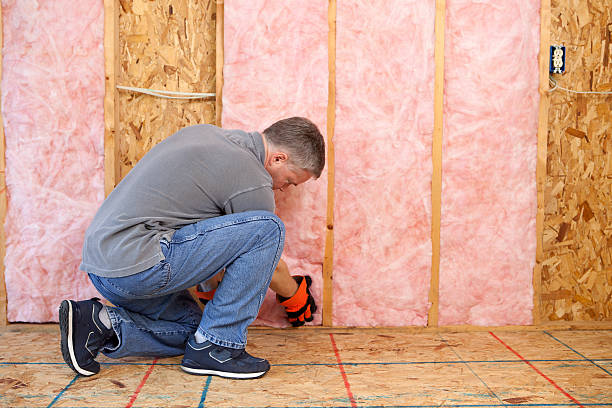 Insulation Replacement Services in Kaplan, LA